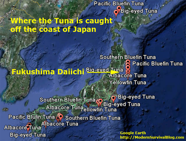 tuna-fishing-locations-japan