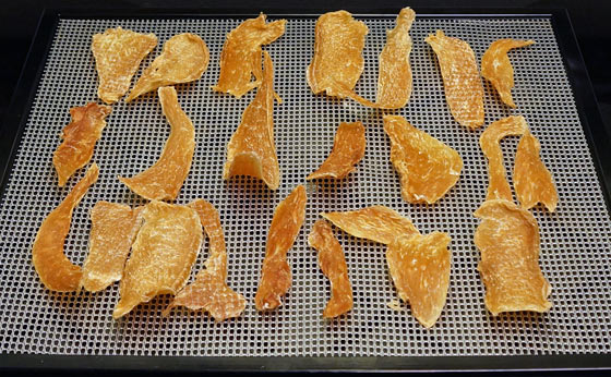 Homemade Dehydrated Chicken Strips - Shelf Life Report