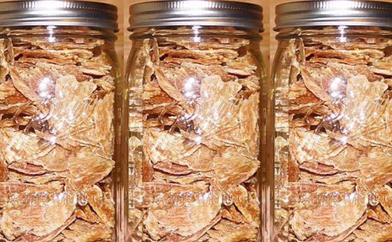Homemade Dehydrated Chicken Strips – Shelf Life Report - The Survival