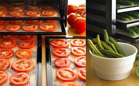 Cabela's Dehydrator Clean-A-Screen 6-Pack