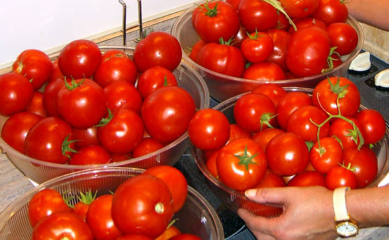 Juicy Tomatoes