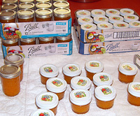 apricot jam