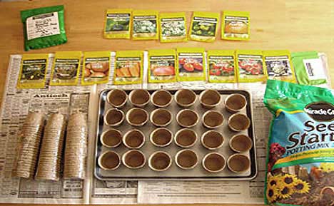 Survival Garden Seed Germination