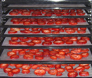 dehydrate strawberries with excalibur