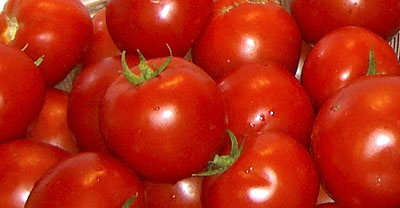 mouth-watering-tomatoes