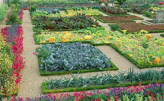 Start Planning Your Garden