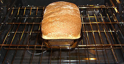 how-to-make-your-own-wheat-bread