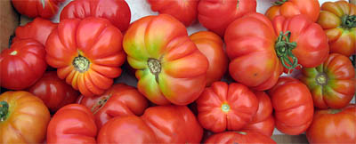 Heirloom Tomato Seeds, Preserved