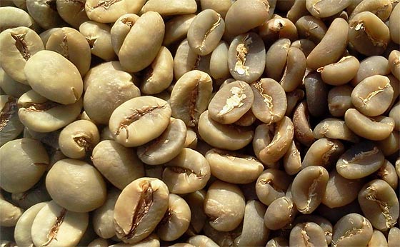 Green Coffee Beans Long Term Storage | Shelf Life | How-to Roast