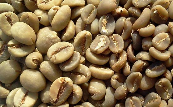 How Long Does Coffee Last? Storage & Shelf Life FAQ