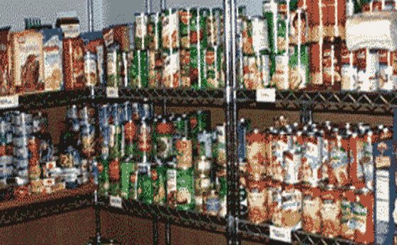 criteria-for-survival-food-storage