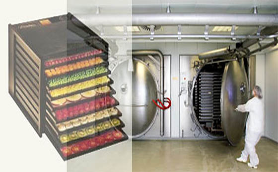 Dehydrator Versus Freeze Dryer - What's the Difference?