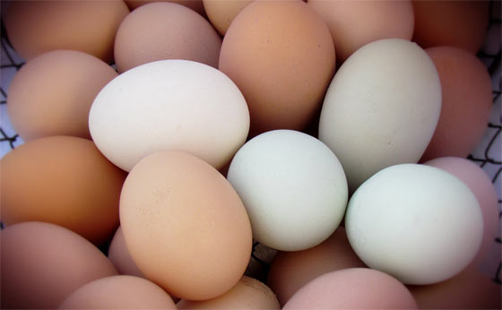 How To Store Eggs For Longer Shelf Life