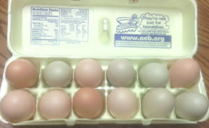 storage-of-fresh-eggs-1