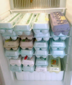 storage-of-fresh-eggs-3