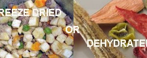 How Much Water For Freeze-Dried vs. Dehydrated Food
