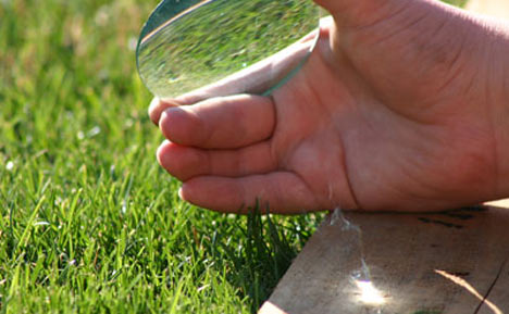 A Magnifying Glass For Survival