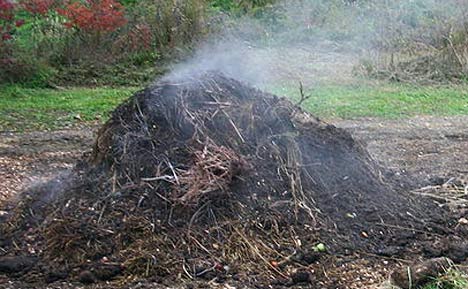 Compost