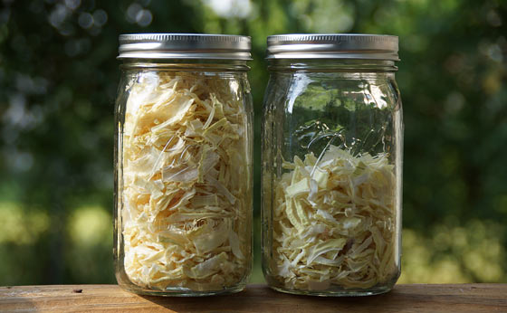 Dehydrated Onions | How to Dehydrate and Store Them