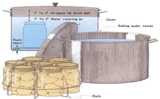 Food Preservation