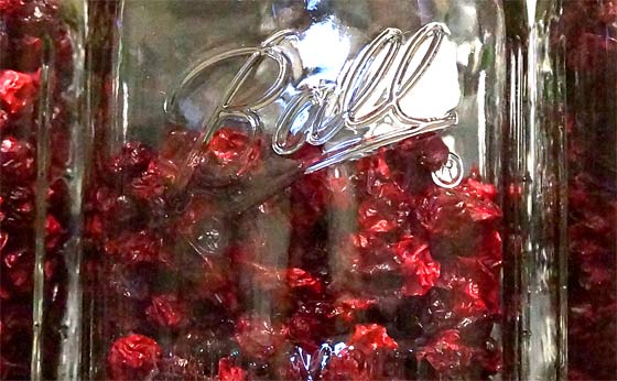 How To Dehydrate Cranberries