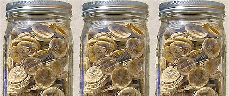 Dehydrated Banana Slices – How to Make and Store Them To Last