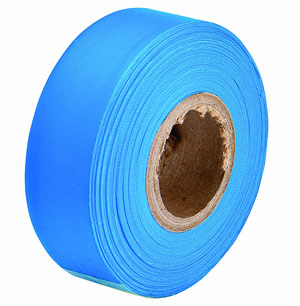 Blue Survey - Flagging Tape