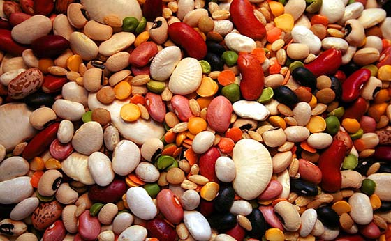 Best Beans For Long Term Storage – What’s Your Opinion?
