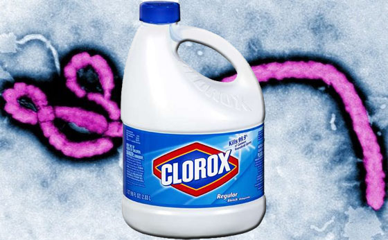 Ebola Virus Disinfection With Bleach