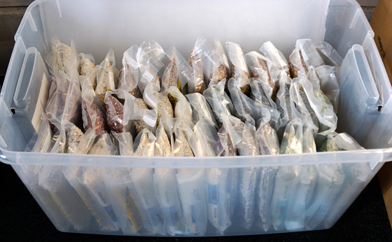 100 Vacuum Sealer Bags: Pint Size (6 x 10) for Foodsaver 33