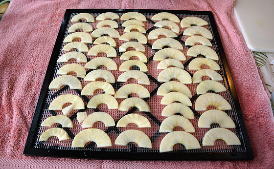 apple-slices-on-dehydrator-tray