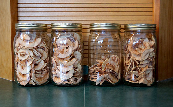 How To Dehydrate Apple Slices With A Dehydrator