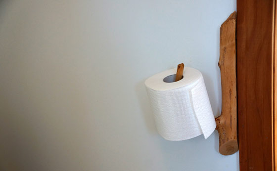 Toilet paper: How the toilet paper habit can grow, and why India