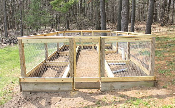 fenced vegetable gardens