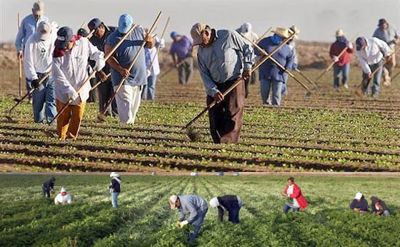 Health Warning: Be Aware Where Your Vegetables Came From…