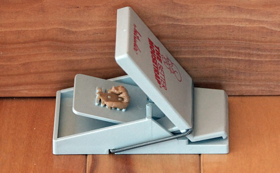 The Better Mousetrap To Protect Your Food Storage From Rodents