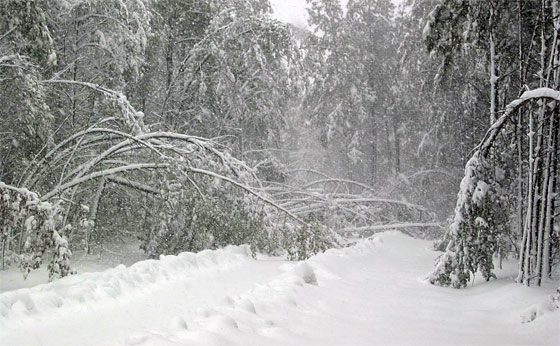 supplies during a snowstorm power outage