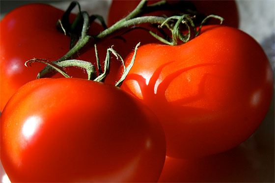 Tips For Growing Tomatoes