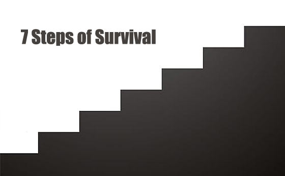 The 7 Steps of Survival