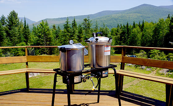 A two-burner propane stove