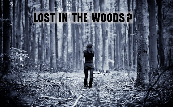 lost-in-the-woods