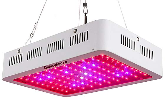 LED Grow Lights For Indoor Plants