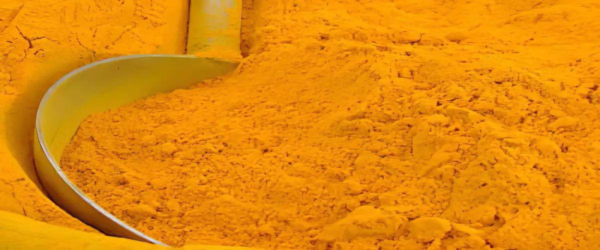 ORAC value score of turmeric spice