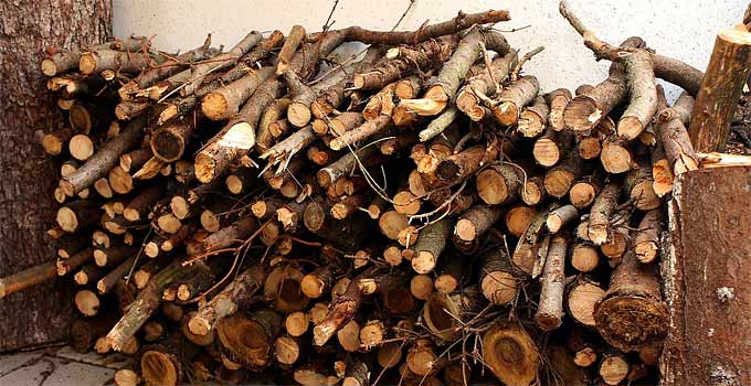 Firewood For Heating – List of the Most Popular Wood for Burning