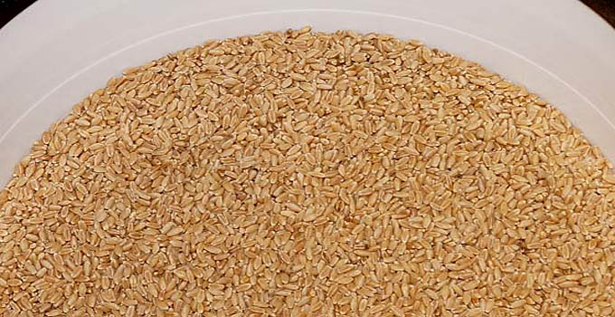 Benefits of Milling Your Own Flour From Wheat Berries