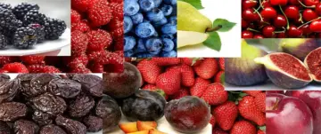Highest Antioxidant  Fruits List