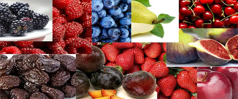 highest antioxidant fruits