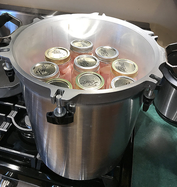 general] is there a hotplate that can get all American 41 quart pressure  canners up to 15 psi? I recently upgraded and the hotplates I used for my  prestos won't work for