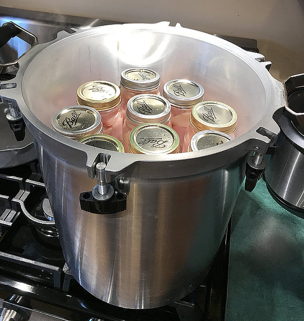 All American 10 Quart Pressure Canning Kit