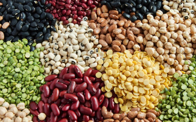 Beans - Easy to Store & Cook